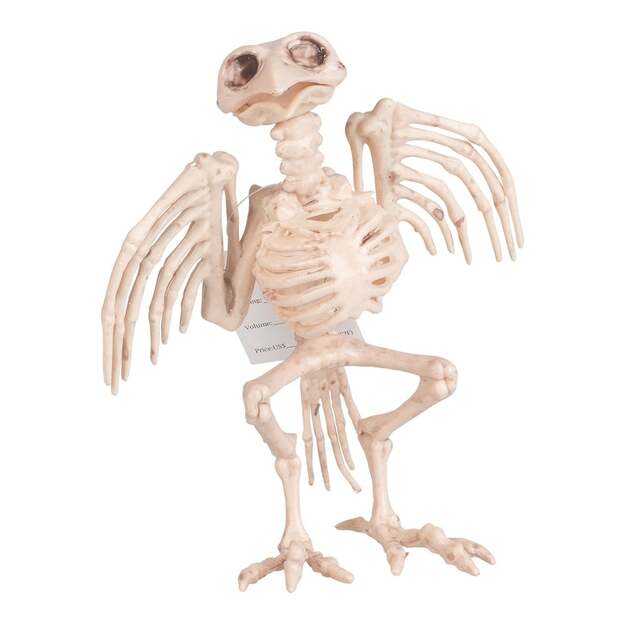 Joker - Halloween - Skeleton Bird (15 cm) (97060)