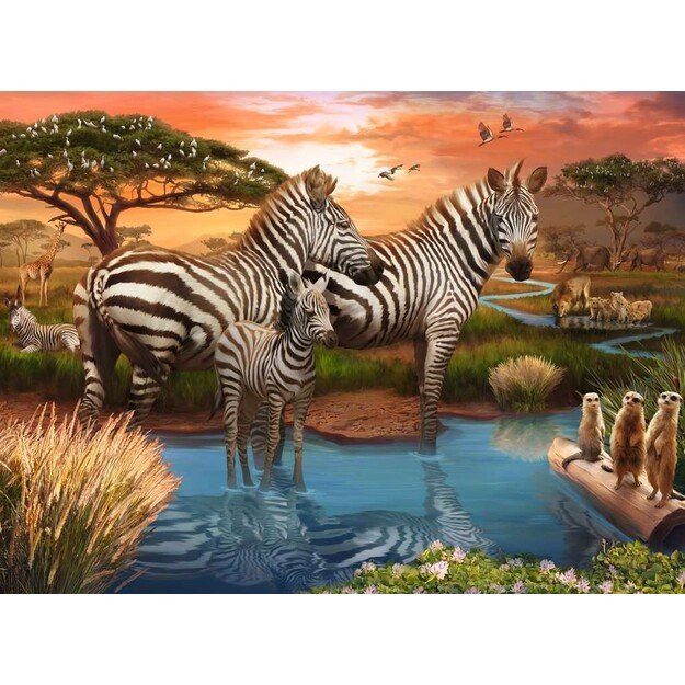 Ravensburger - Zebras In Sunset 500p - (10217376)