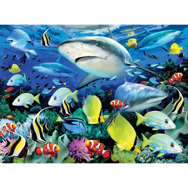 Royal & Langnickel - Paint by Numbers Reef Shark (304105)