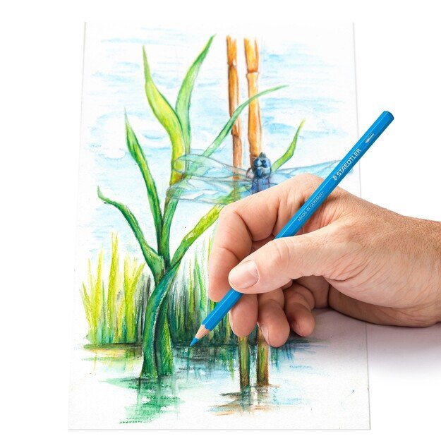 Staedtler - Watercolor colored pencil, 24 pcs (14610C M24)