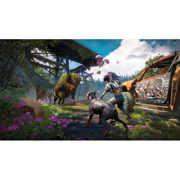 Far Cry - New dawn
      
        - PlayStation 4