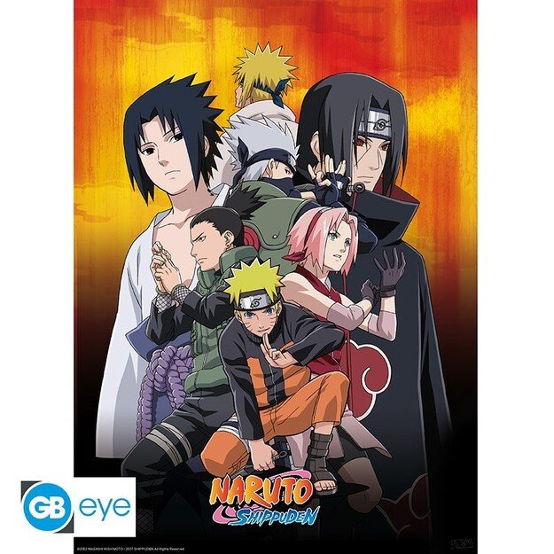 NARUTO SHIPPUDEN - Set 2 Posters - Ninjas (52x38)