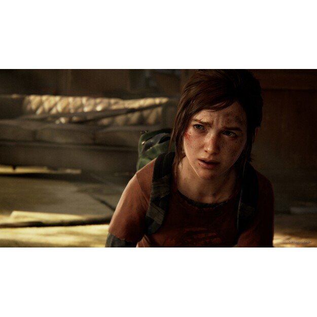 The Last of Us Part I (Nordic)
      
        - PlayStation 5