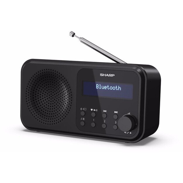 Sharp - Tokyo Portable Digital and FM Radio - Black Midnight