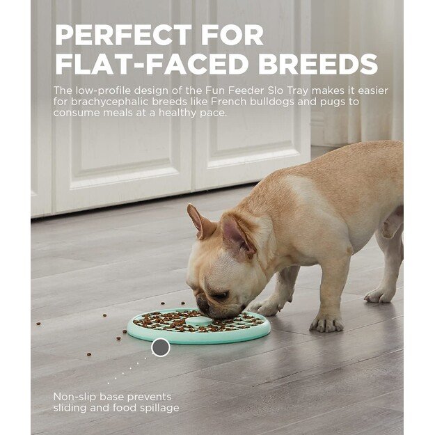 Outward Hound - Fun Feeder Slow Tray - Mint - Large (645.5560)