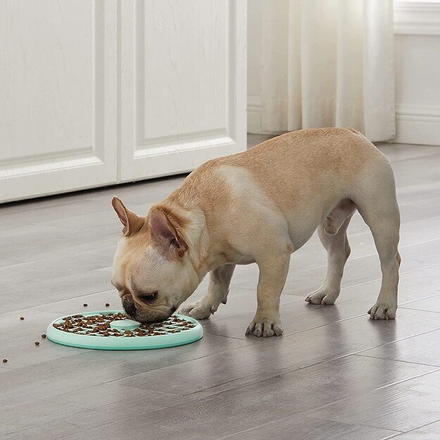 Outward Hound - Fun Feeder Slow Tray - Mint - Large (645.5560)