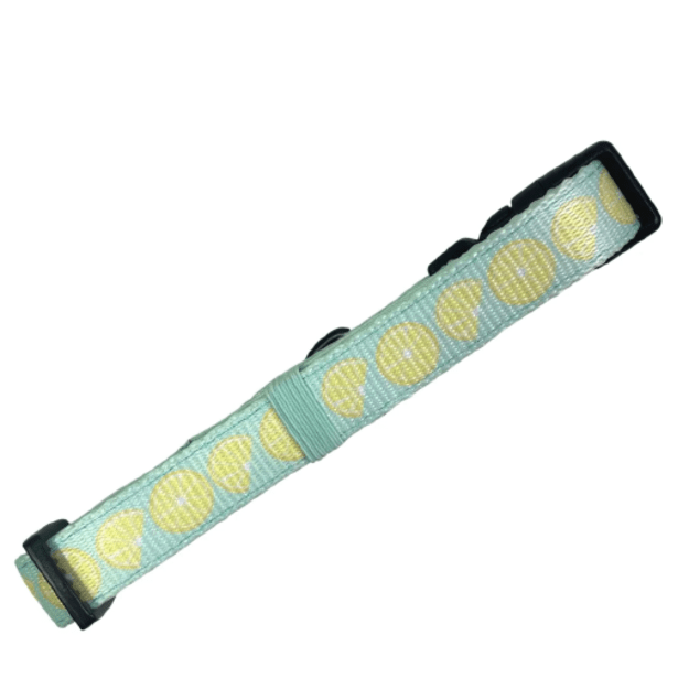 Confetti Dogs - Dog Collar Lemons Size L 39-59 cm - (PHA0719S)