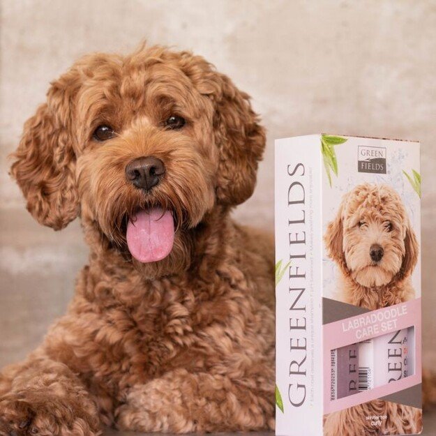 Greenfields - Labradoodle Care Set 2x250ml - (WA4674)