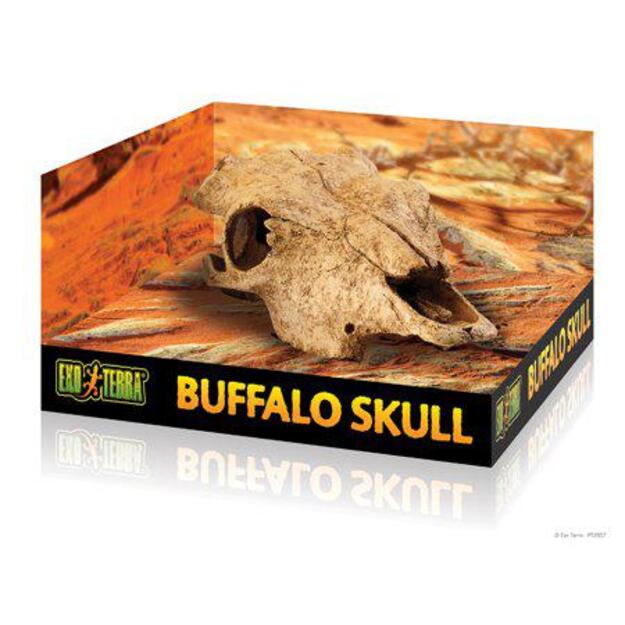 EXOTERRA - Cave Buffalo Skull  - (222.2057)