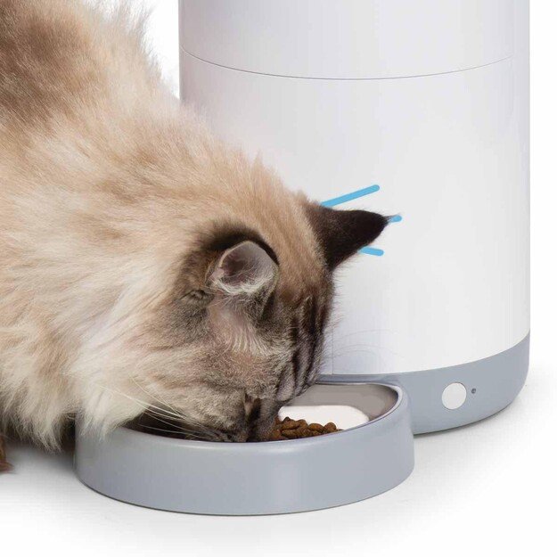 CATIT - Catiti Pixi Vision Smart Feeder - (785.0338)