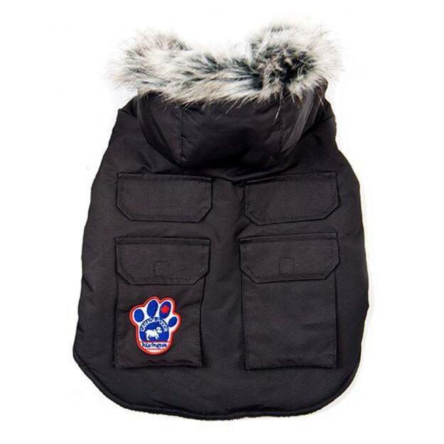 CANADA POOCH - Everest Explorer Jacket Black 45Cm - (632.1445)