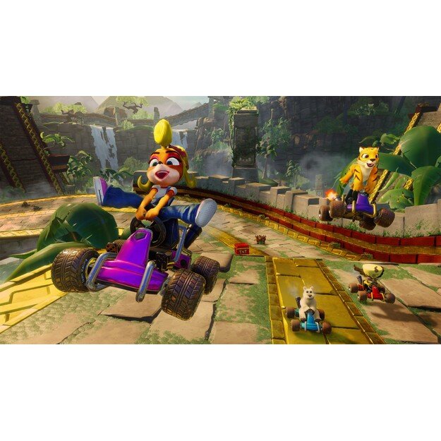 Crash Team Racing Nitro-Fueled
      
        - Nintendo Switch