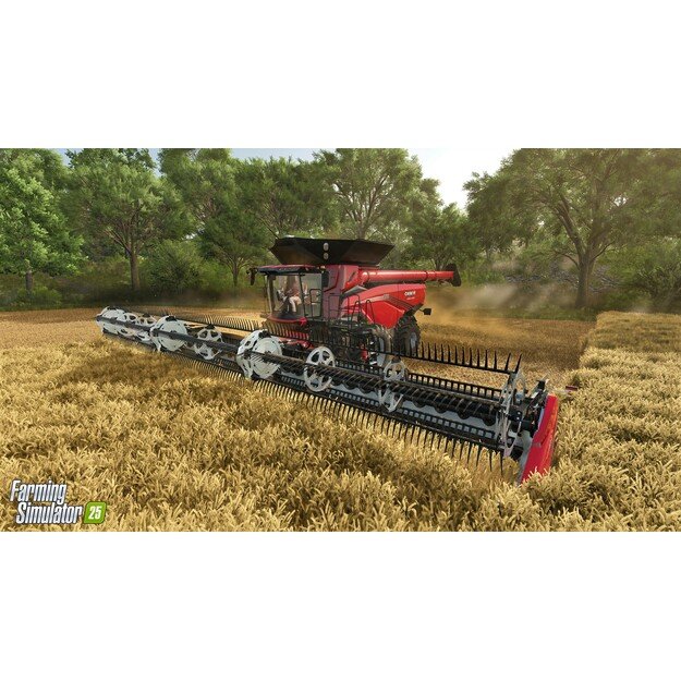 Farming Simulator 25
      
        - PC