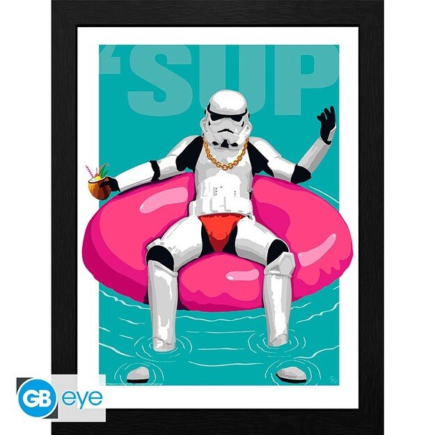 ORIGINAL STORMTROOPER - Framed print 