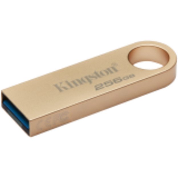 Memory USB flash KINGSTON DTSE9G3/256GB