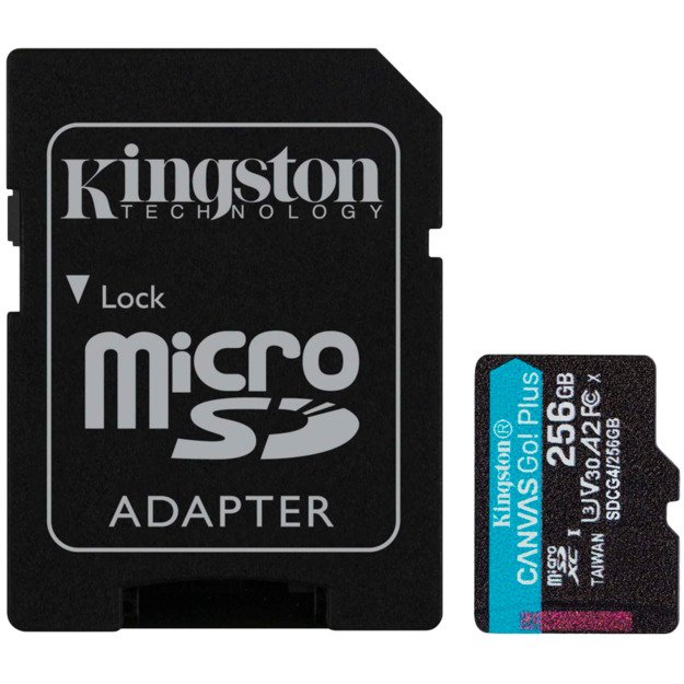 Memory Flash cards KINGSTON SDCG4/256GB