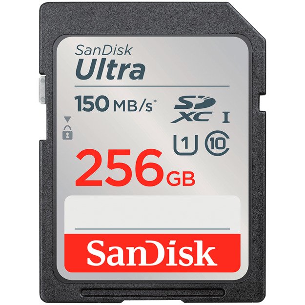 Memory Flash cards SANDISK SDSDUNC-256G-GN6IN