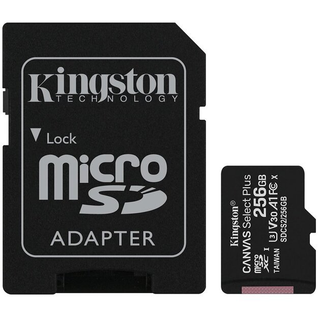Memory Flash cards KINGSTON SDCS2/256GB 1