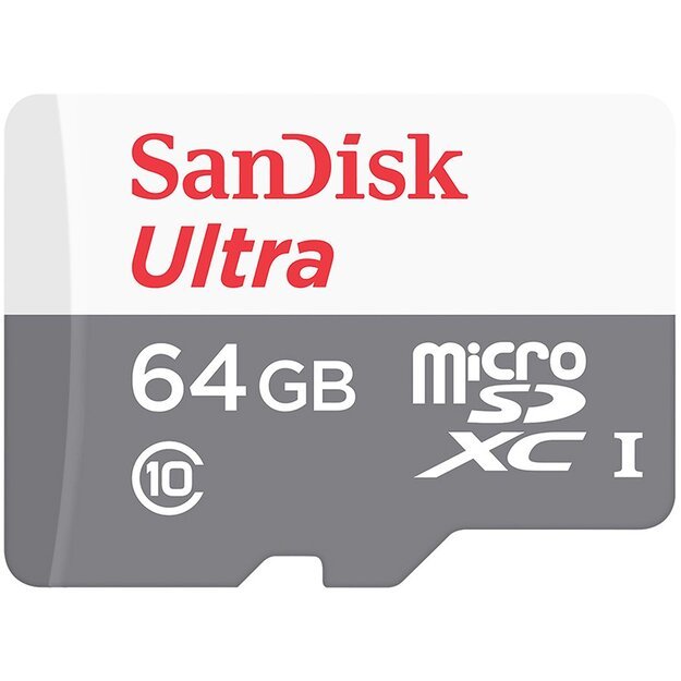Memory Flash cards SANDISK SDSQUNR-064G-GN3MN 1